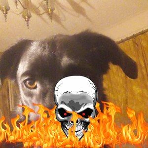 Meet your Posher, Trisha